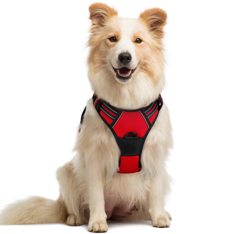 rabbitgoo Dog Harness No Pull with 2 Leash Clips, Adjustable Soft Padded, Reflective Oxford No Choke Pet Vest with Easy Control Handle for Medium Sized Dogs, Red, M - Image 1